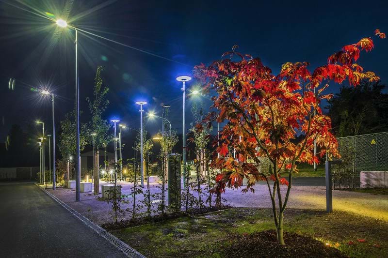 Der Leuchtenpark im LEW Technologiezentrum in Königsbrunn mit rotem Ahorn im Vordergrund